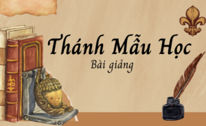Thánh mẫu học