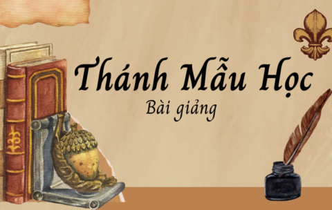 Thánh mẫu học